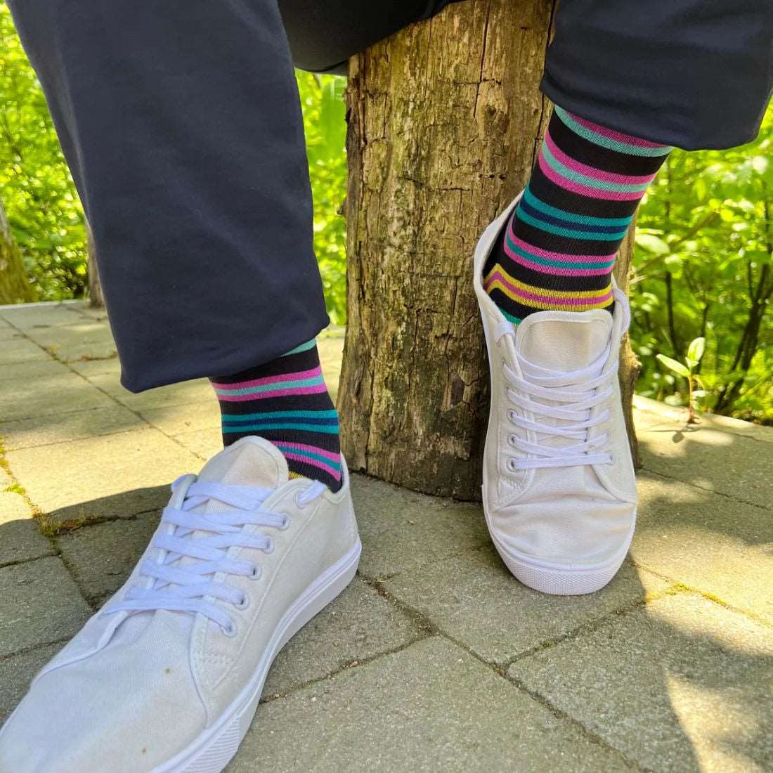 Swole Panda Multi Colour Stripes Bamboo Socks